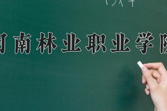 2024年河南林业职业学院在河南计划招生人数（附学费及专业录取分)