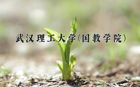 2024年武汉理工大学(国教学院)在四川计划招生人数（附学费及专业录取分)