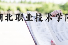 2024年湖北职业技术学院在四川计划招生人数（附学费及专业录取分)