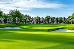 2024年重庆电子科技职业大学在河南计划招生人数（附学费及专业录取分)