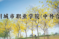 2024年四川城市职业学院(中外合作)在四川计划招生人数（附学费及专业录取分)