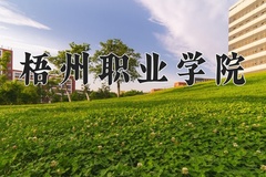 2024年梧州职业学院在四川计划招生人数（附学费及专业录取分)