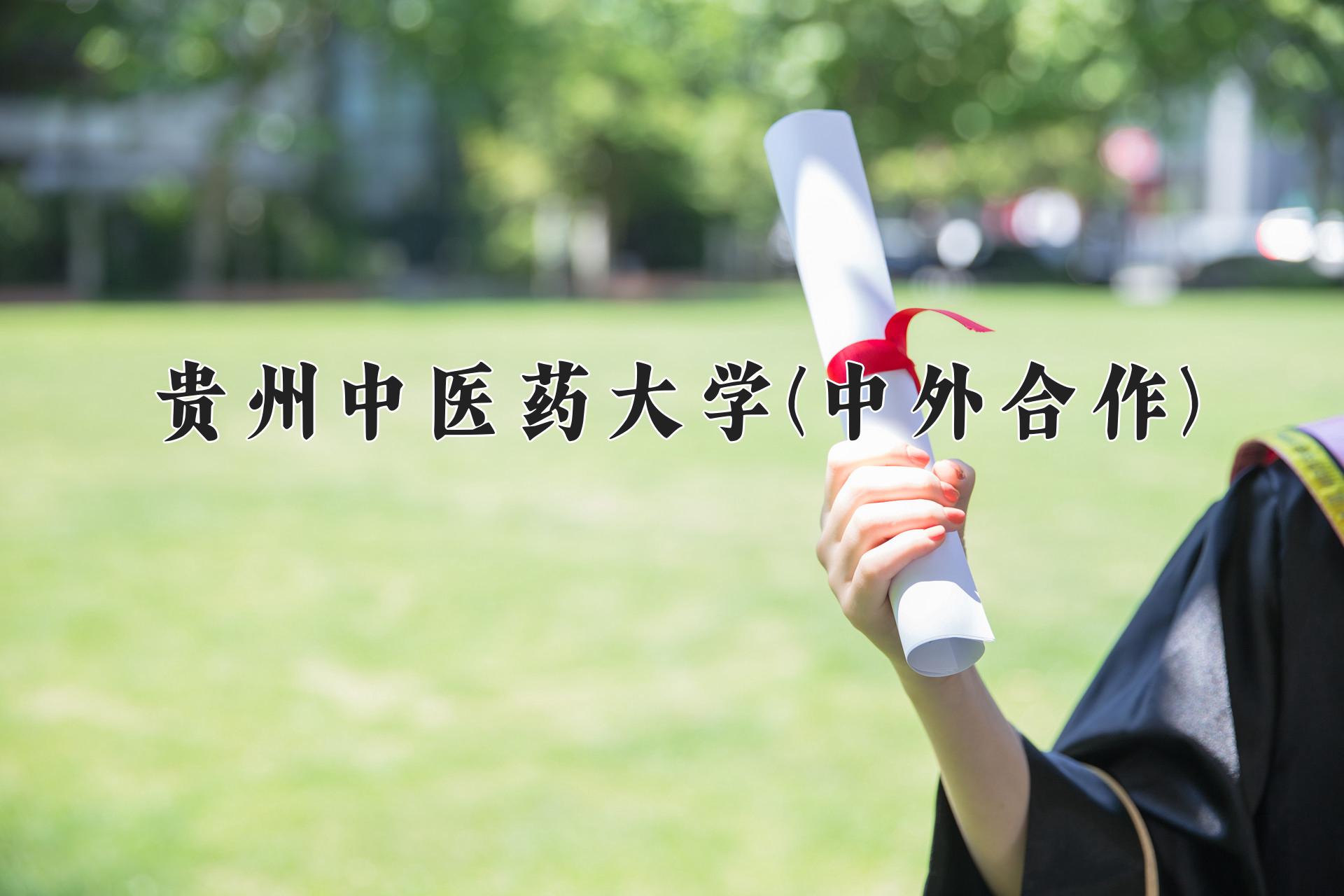 贵州中医药大学(中外合作)