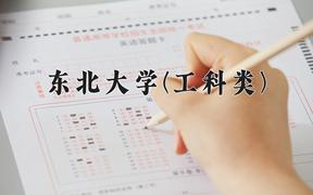 2024年东北大学(工科类)在四川计划招生人数（附学费及专业录取分)