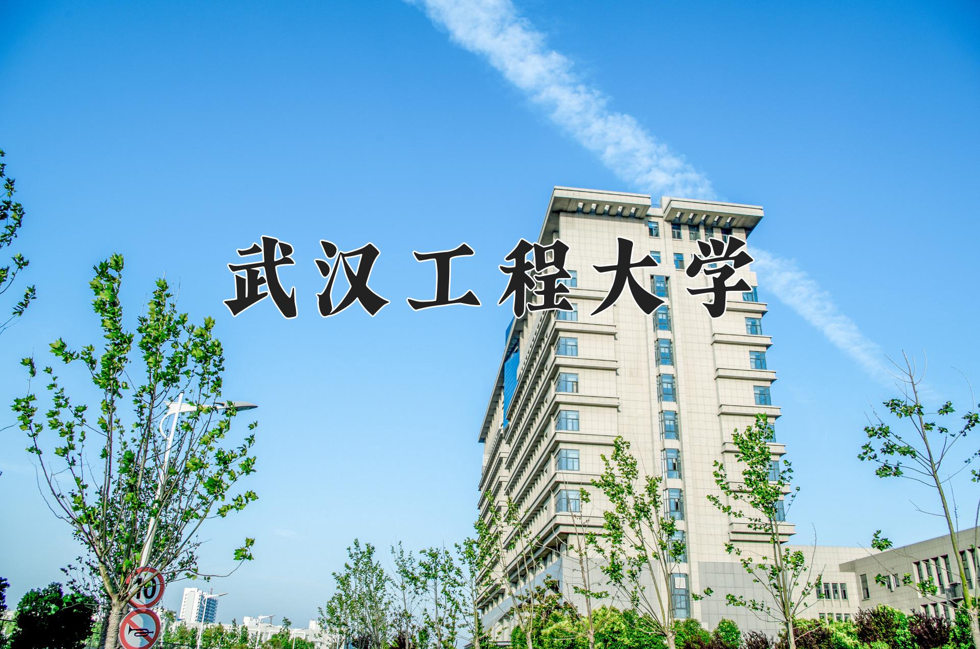 武汉工程大学