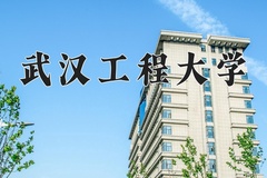 2024年武汉工程大学在河南计划招生人数（附学费及专业录取分)