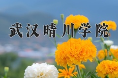 2024年武汉晴川学院在四川计划招生人数（附学费及专业录取分)