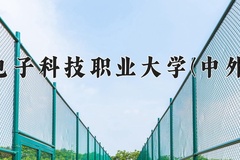 2024年重庆电子科技职业大学(中外合作)在四川计划招生人数（附学费及专业录取分)