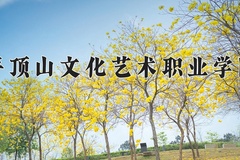 2024年平顶山文化艺术职业学院在河南计划招生人数（附学费及专业录取分)