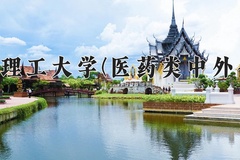 2024年武汉理工大学(医药类中外合作)在四川计划招生人数（附学费及专业录取分)
