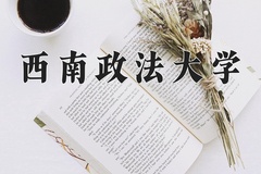 2024年西南政法大学在河南计划招生人数（附学费及专业录取分)