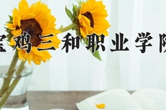 2024年宝鸡三和职业学院在四川计划招生人数（附学费及专业录取分)