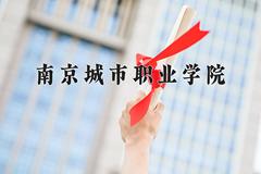 2024年南京城市职业学院在河南计划招生人数（附学费及专业录取分)