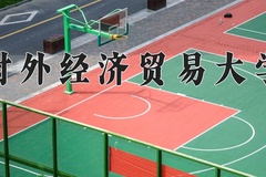 2024年对外经济贸易大学在河南计划招生人数（附学费及专业录取分)