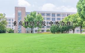 2024年重庆财经学院(中外合作)在四川计划招生人数（附学费及专业录取分)