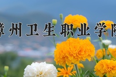 2024年漳州卫生职业学院在四川计划招生人数（附学费及专业录取分)