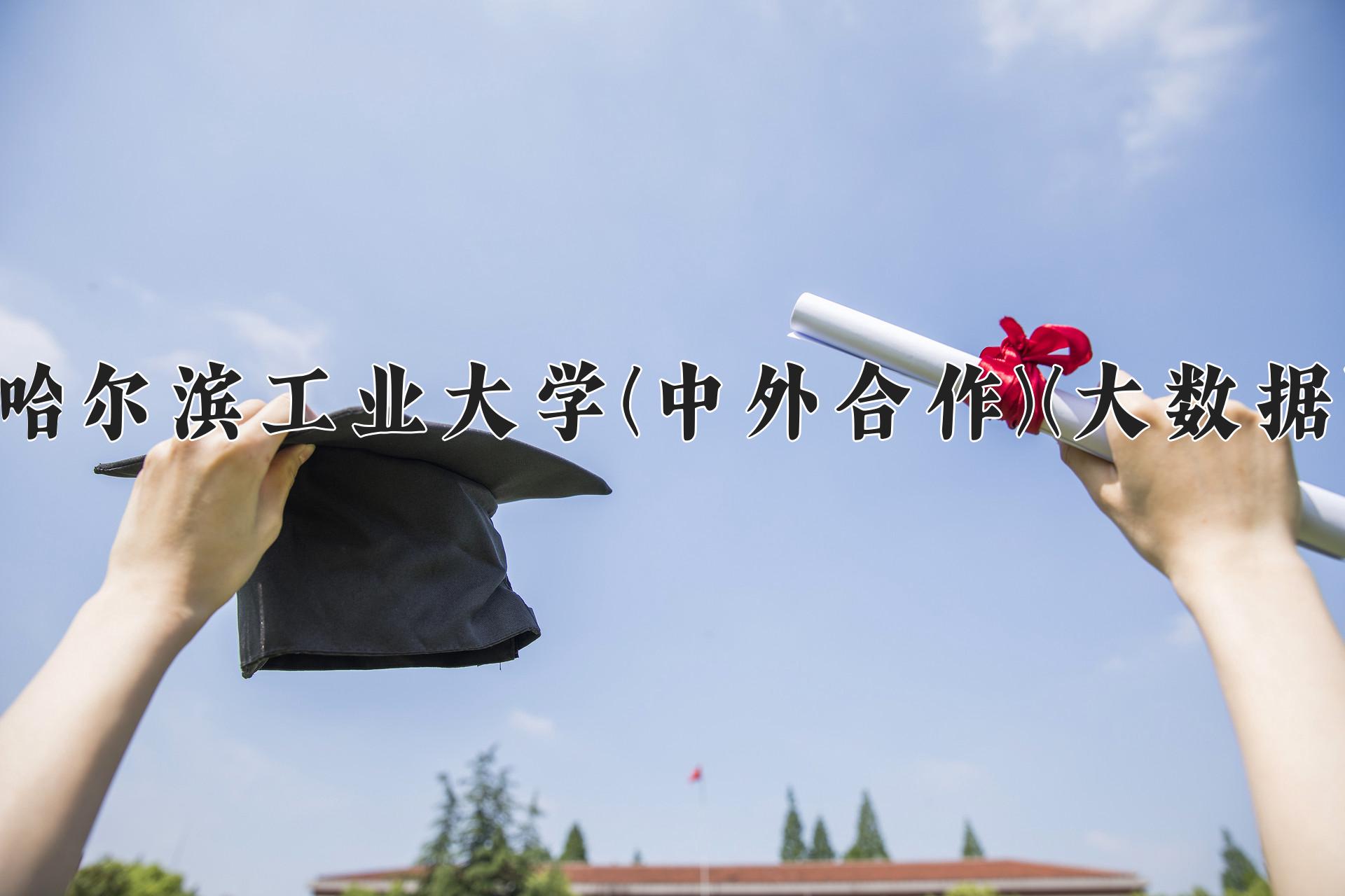 哈尔滨工业大学(中外合作)(大数据)