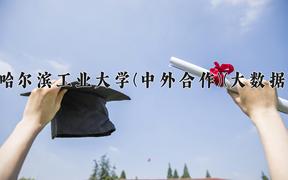 2024年哈尔滨工业大学(中外合作)(大数据)在四川计划招生人数（附学费及专业录取分)