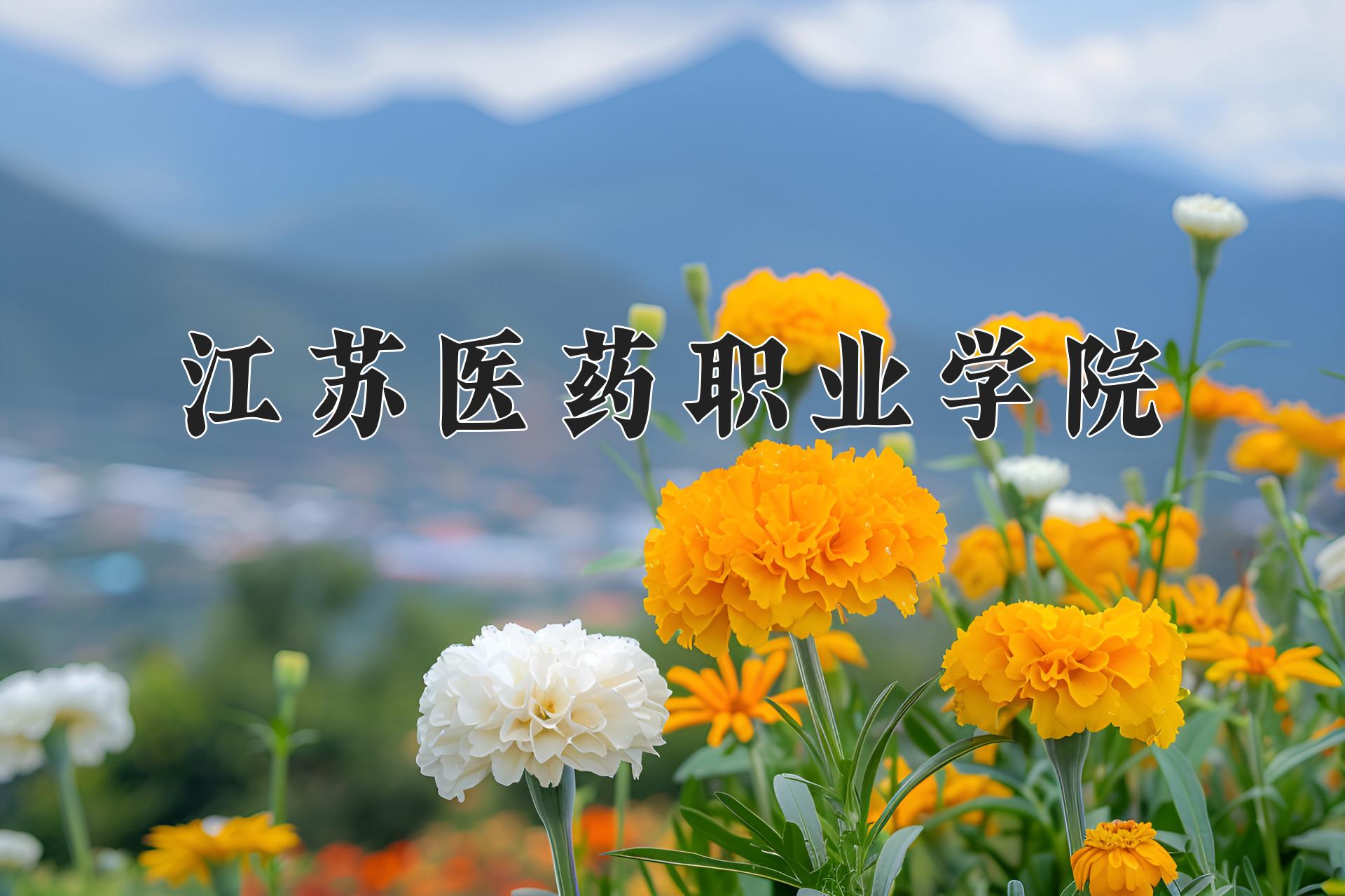 江苏医药职业学院