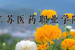 2024年江苏医药职业学院在四川计划招生人数（附学费及专业录取分)