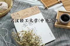 2024年武汉轻工大学(中外合作)在四川计划招生人数（附学费及专业录取分)