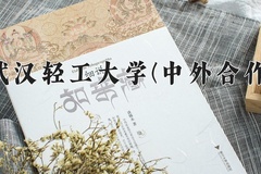2024年武汉轻工大学(中外合作)在四川计划招生人数（附学费及专业录取分)