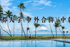 2024年成都大学(中外合作)(中韩)在四川计划招生人数（附学费及专业录取分)