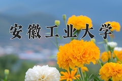 2024年安徽工业大学在四川计划招生人数（附学费及专业录取分)