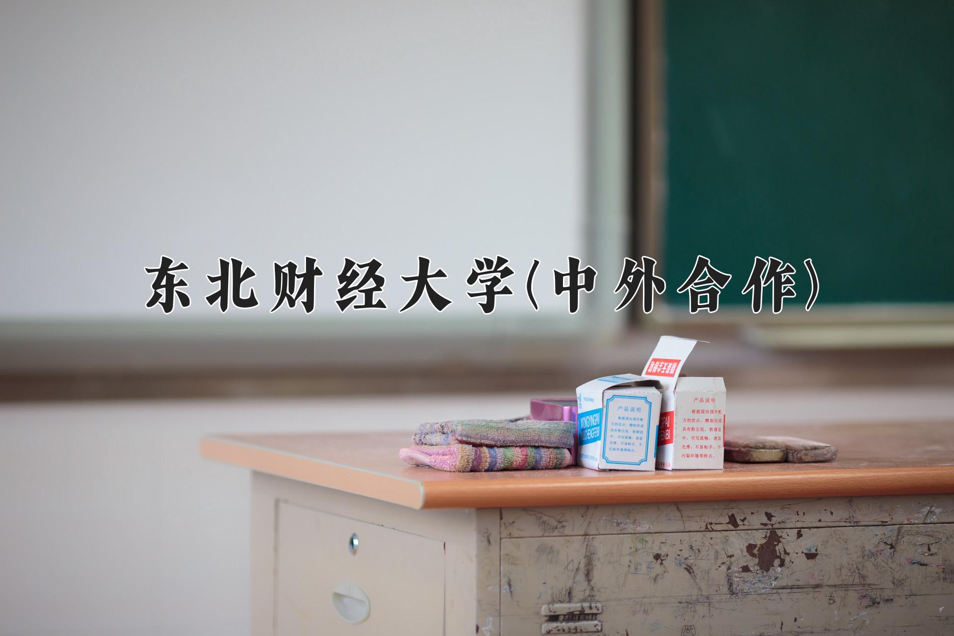 东北财经大学(中外合作)