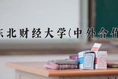 2024年东北财经大学(中外合作)在四川计划招生人数（附学费及专业录取分)