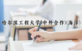 2024年哈尔滨工程大学(中外合作)(海洋)在四川计划招生人数（附学费及专业录取分)