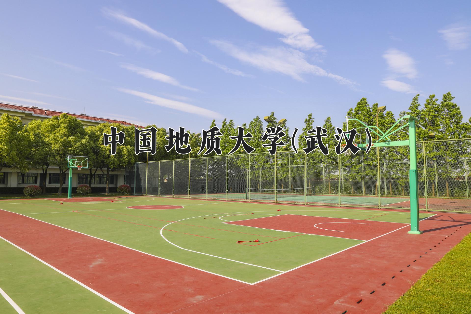 中国地质大学(武汉)