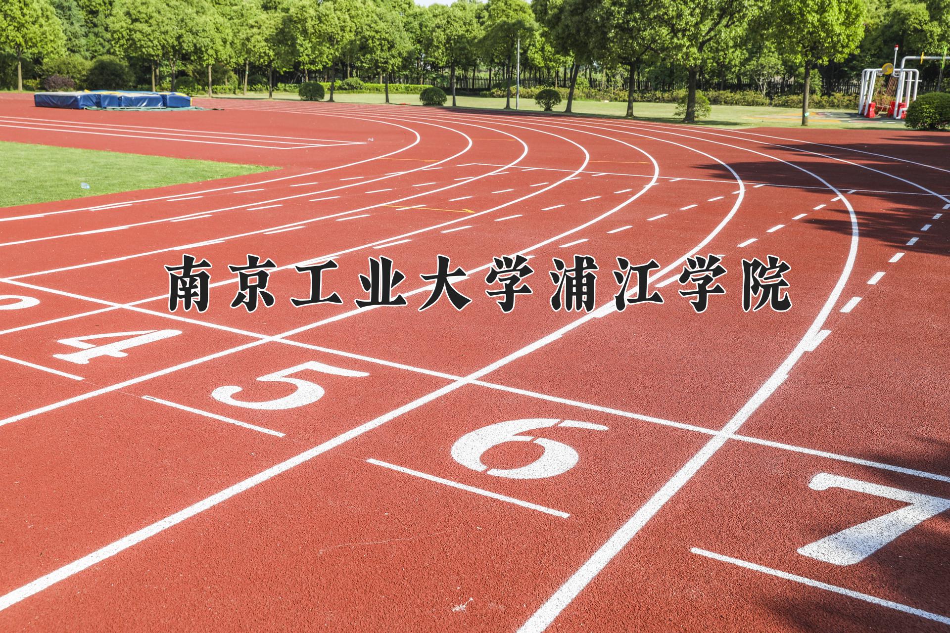 南京工业大学浦江学院