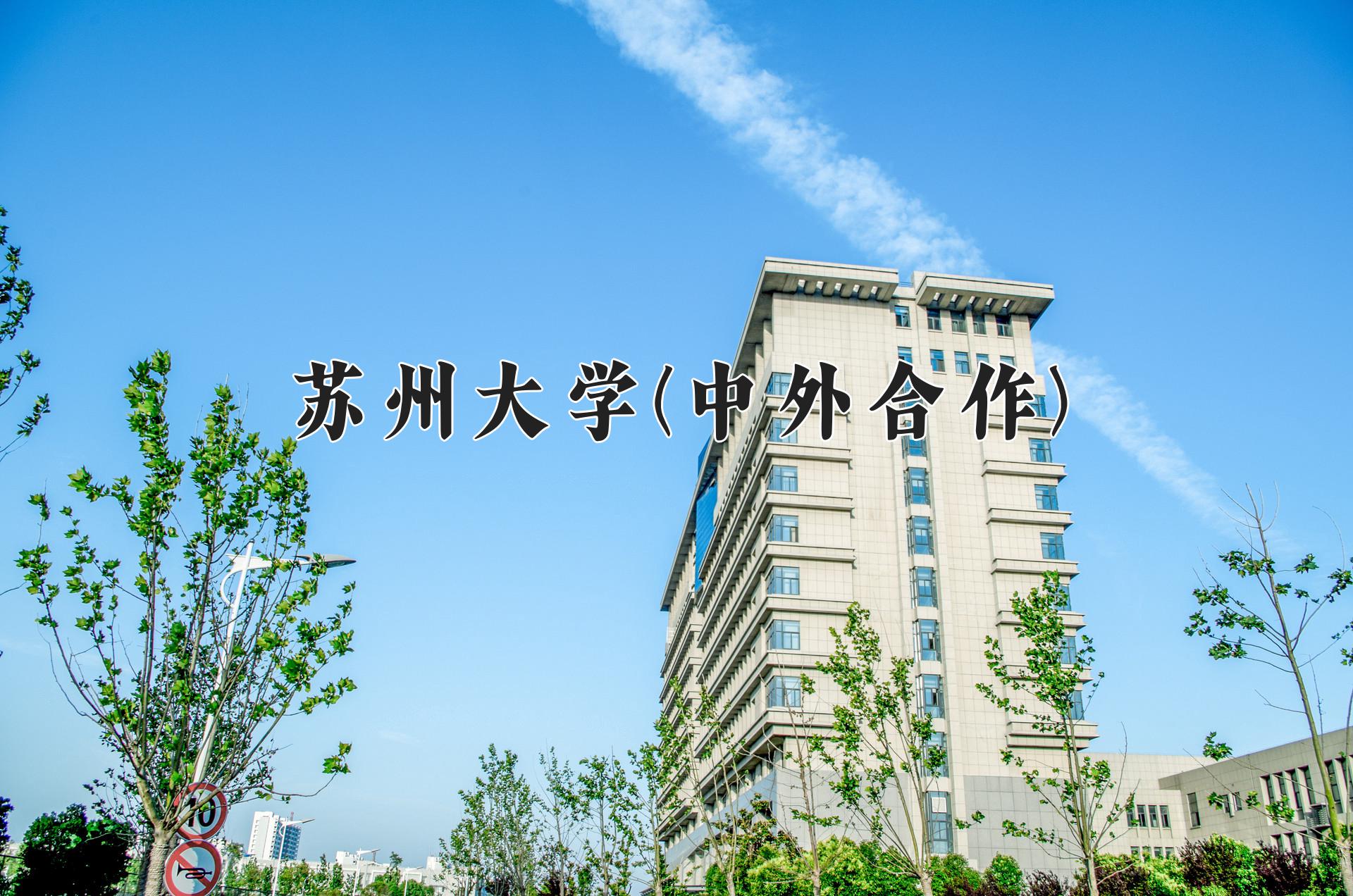 苏州大学(中外合作)