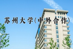 2024年苏州大学(中外合作)在四川计划招生人数（附学费及专业录取分)