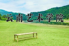 2024年云南艺术学院在四川计划招生人数（附学费及专业录取分)