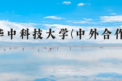 2024年华中科技大学(中外合作)在四川计划招生人数（附学费及专业录取分)
