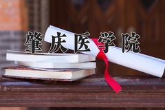 2024年肇庆医学院在河南计划招生人数（附学费及专业录取分)