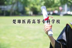 2024年楚雄医药高等专科学校在四川计划招生人数（附学费及专业录取分)