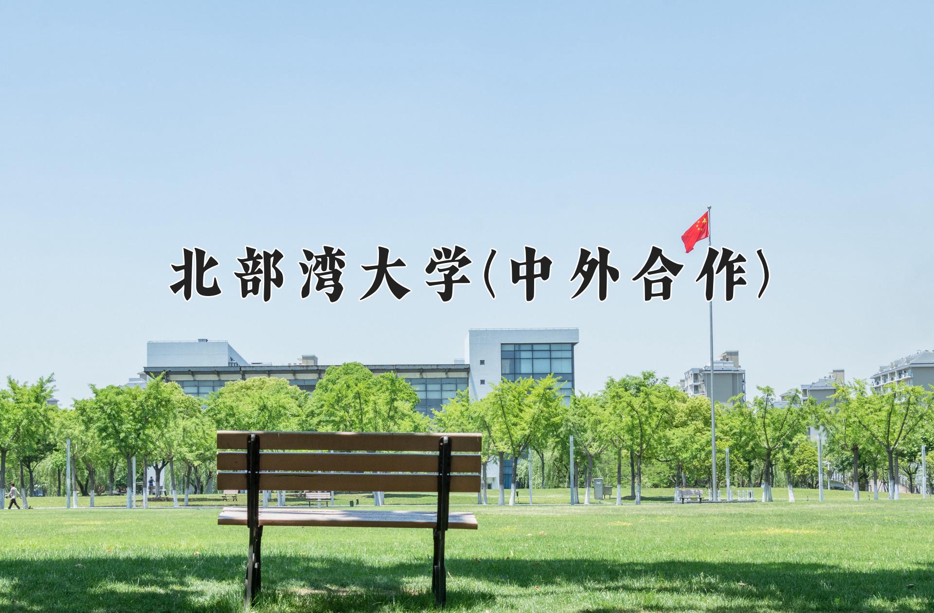 北部湾大学(中外合作)