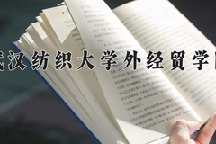2024年武汉纺织大学外经贸学院在河南计划招生人数（附学费及专业录取分)