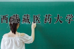 2024年西藏藏医药大学在河南计划招生人数（附学费及专业录取分)