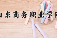 2024年山东商务职业学院在四川计划招生人数（附学费及专业录取分)