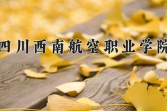 2024年四川西南航空职业学院在河南计划招生人数（附学费及专业录取分)
