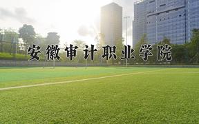 2024年安徽审计职业学院在四川计划招生人数（附学费及专业录取分)