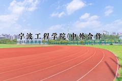 2024年宁波工程学院(中外合作)在四川计划招生人数（附学费及专业录取分)