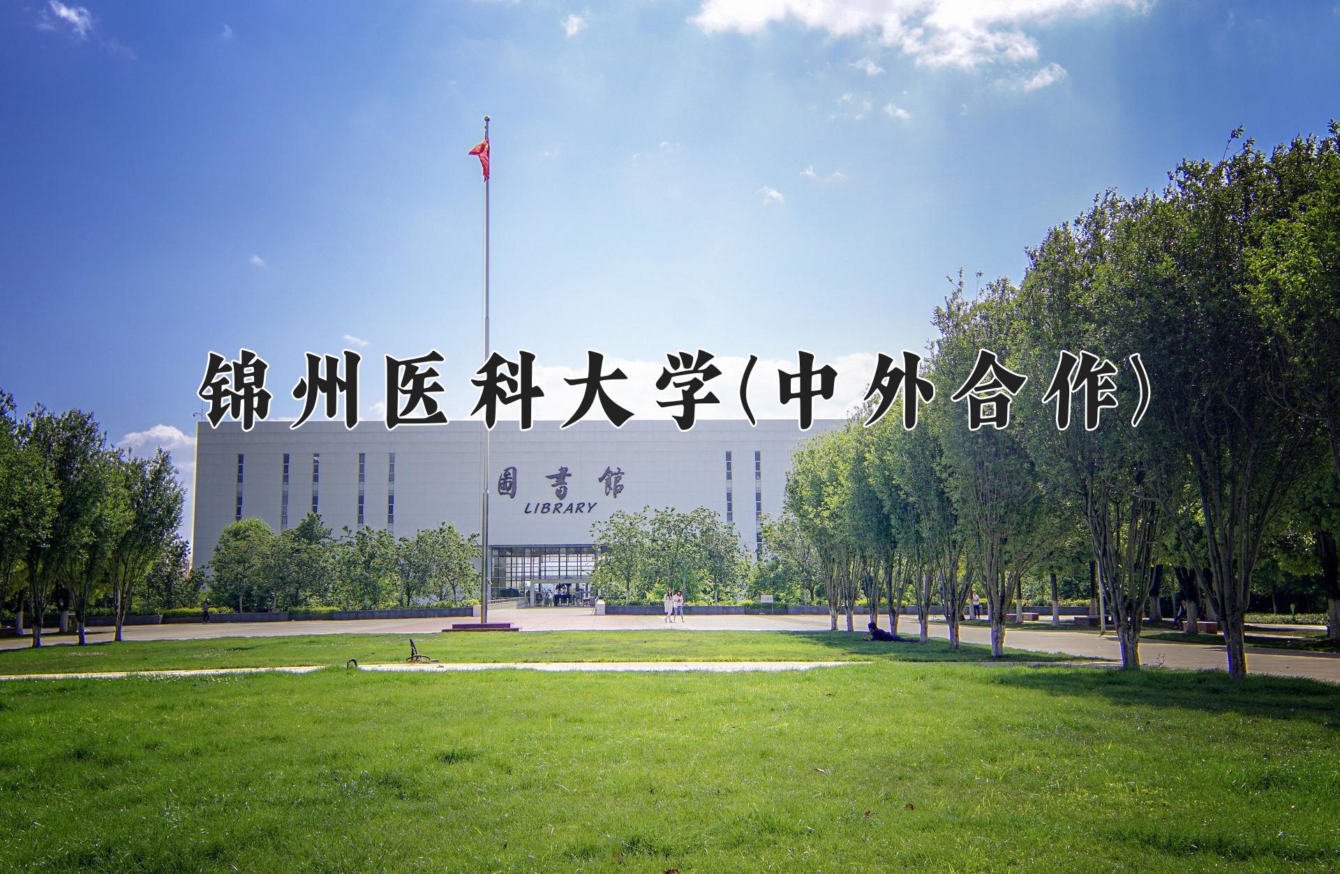 锦州医科大学(中外合作)