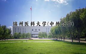 2024年锦州医科大学(中外合作)在四川计划招生人数（附学费及专业录取分)