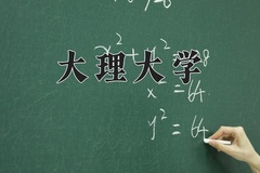 2024年大理大学在河南计划招生人数（附学费及专业录取分)