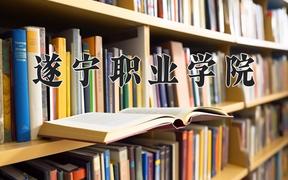 2024年遂宁职业学院在四川计划招生人数（附学费及专业录取分)